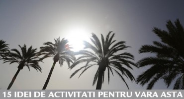 VARA asta