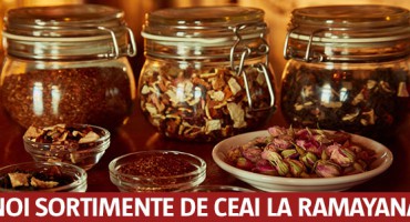 sortimente-ceai-Ramayana-NEWSLETTER_2